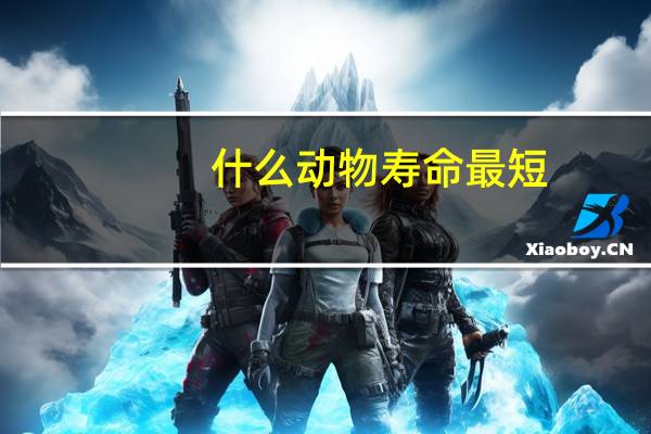 什么动物寿命最短