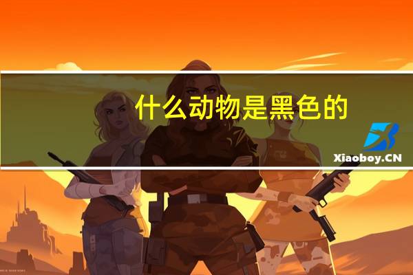什么动物是黑色的