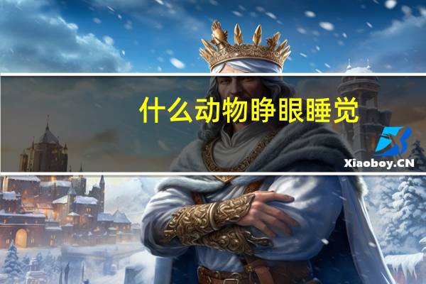什么动物睁眼睡觉