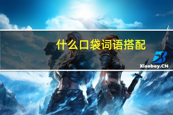什么口袋词语搭配
