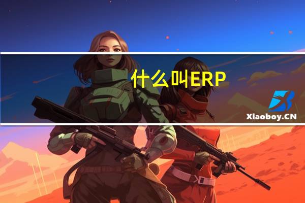 什么叫ERP