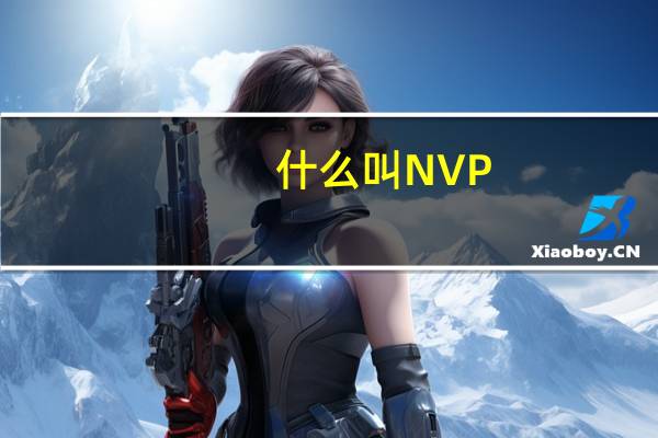 什么叫NVP