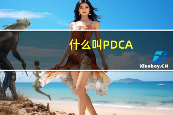什么叫PDCA