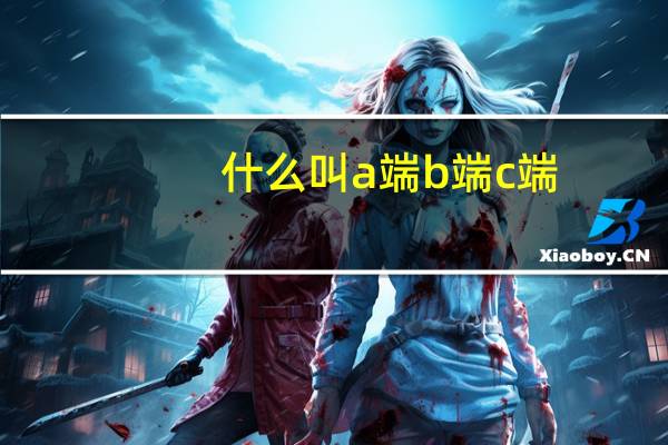 什么叫a端b端c端