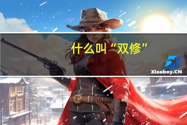 什么叫“双修”
