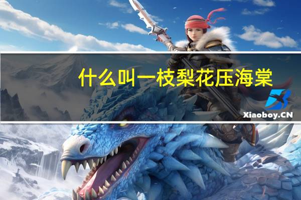 什么叫一枝梨花压海棠