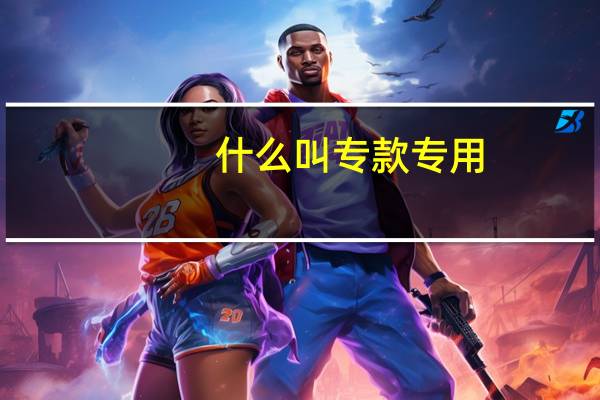 什么叫专款专用