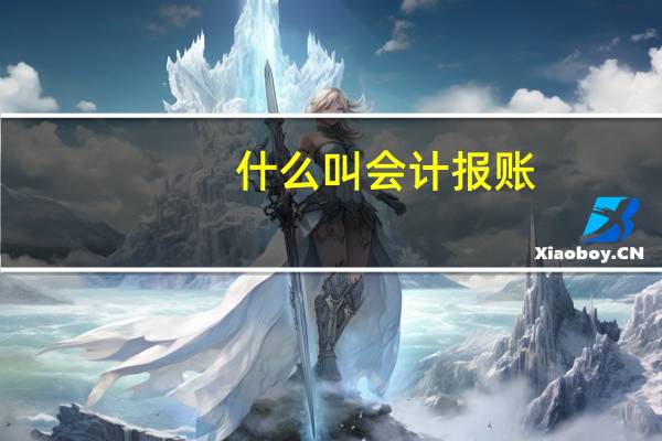 什么叫会计报账