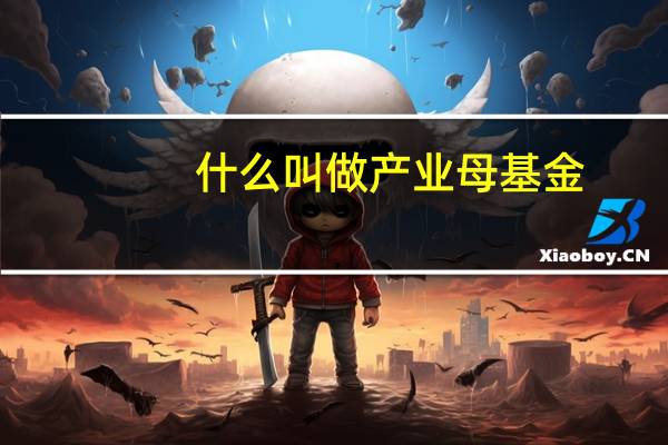 什么叫做产业母基金