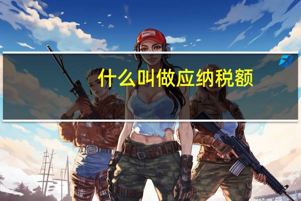 什么叫做应纳税额