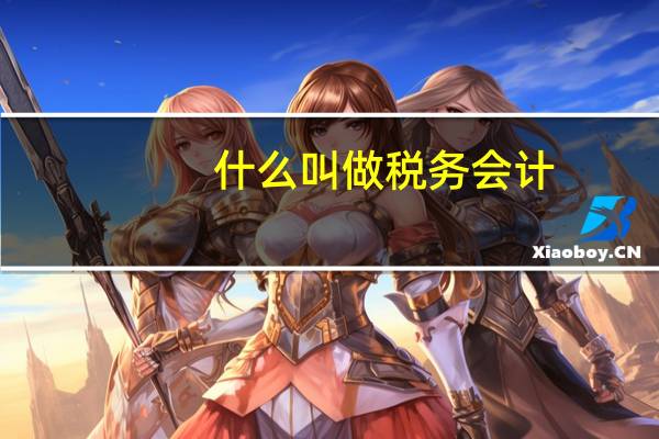 什么叫做税务会计