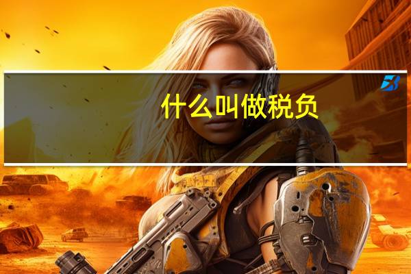 什么叫做税负