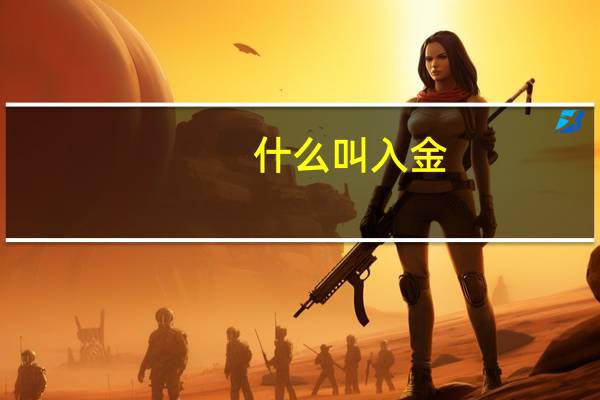 什么叫入金
