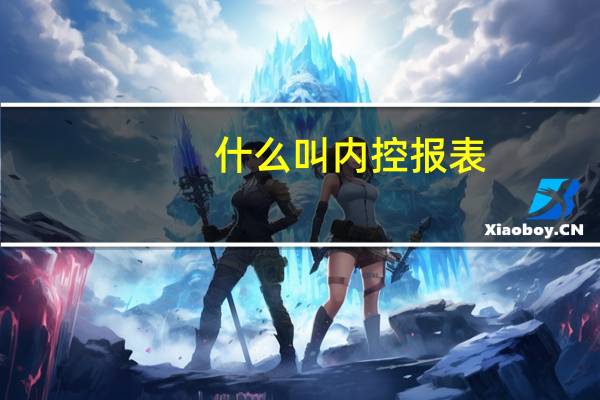什么叫内控报表