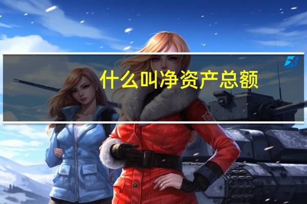 什么叫净资产总额