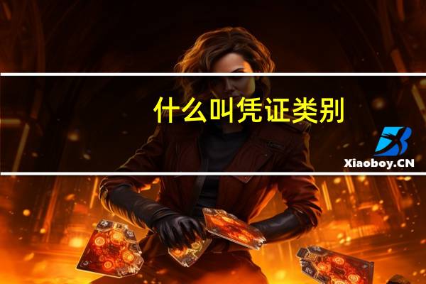 什么叫凭证类别