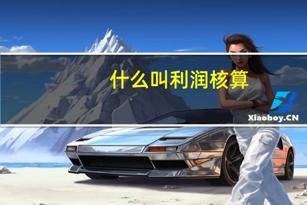 什么叫利润核算