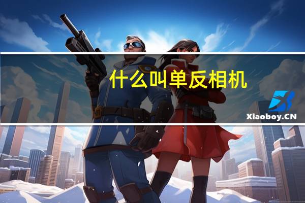 什么叫单反相机