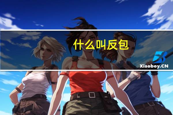 什么叫反包