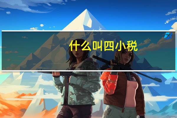 什么叫四小税