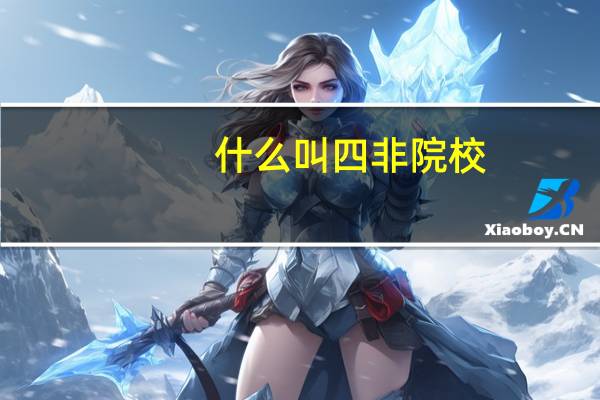 什么叫四非院校