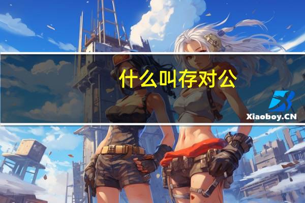 什么叫存对公