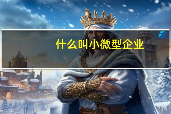 什么叫小微型企业
