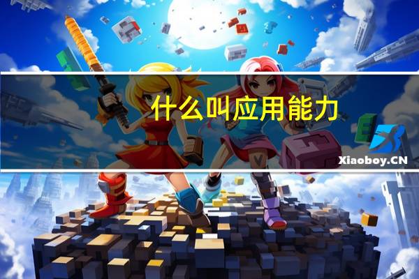 什么叫应用能力
