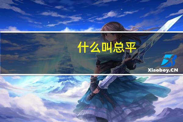 什么叫总平