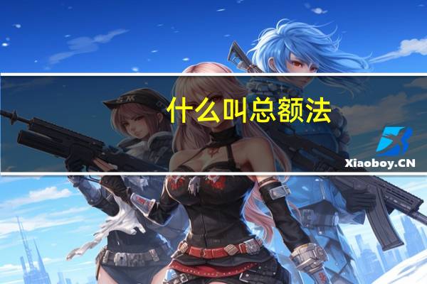 什么 叫总额法