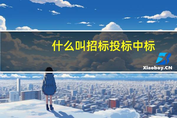 什么叫招标投标中标