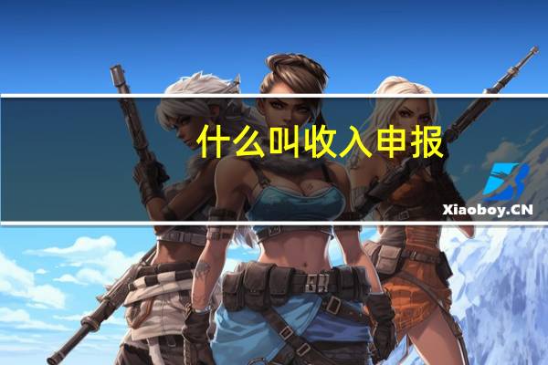 什么叫收入申报