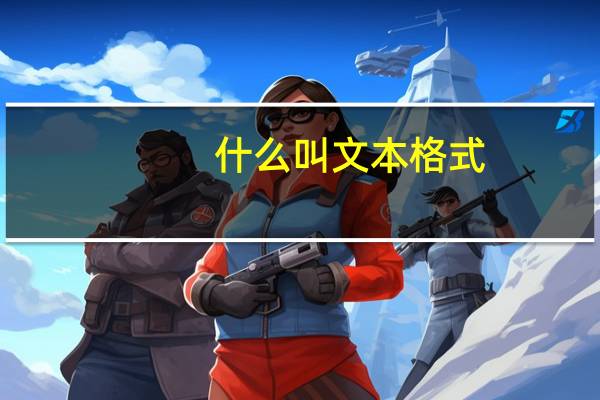 什么叫文本格式