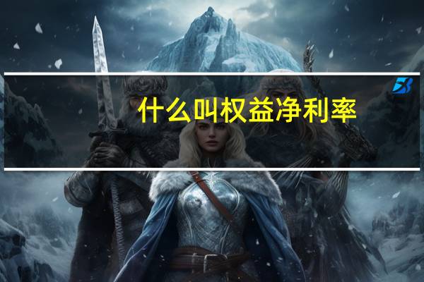 什么叫权益净利率