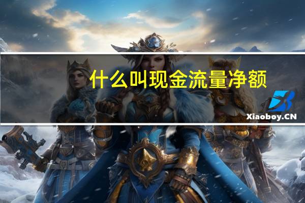 什么叫现金流量净额