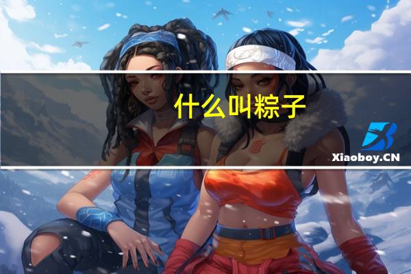 什么叫粽子