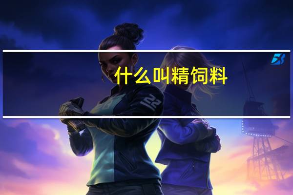 什么叫精饲料