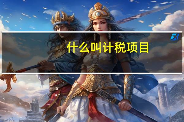 什么叫计税项目
