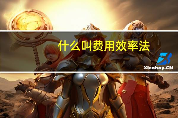 什么叫费用效率法
