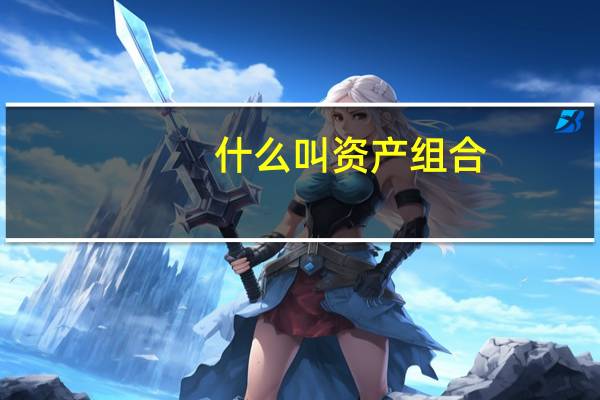 什么叫资产组合