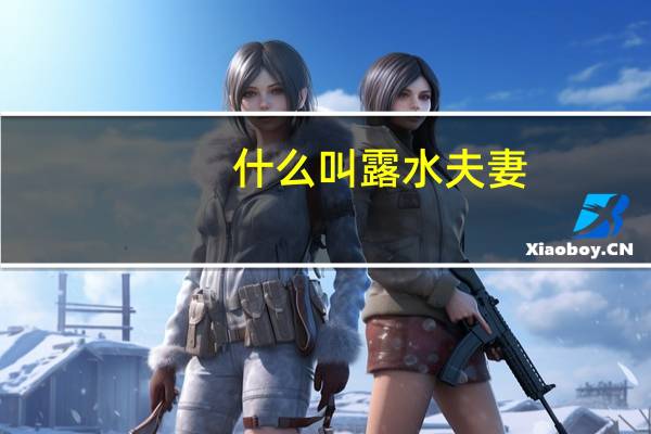 什么叫露水夫妻