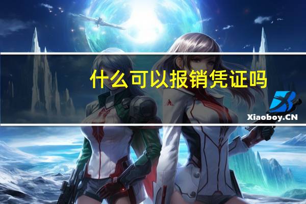 什么可以报销凭证吗