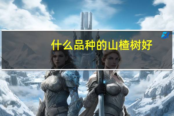 什么品种的山楂树好