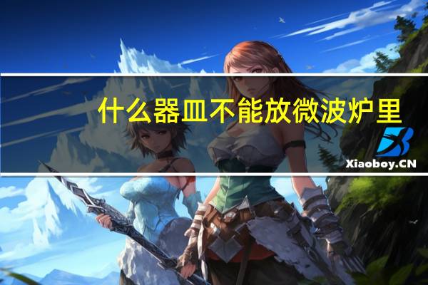 什么器皿不能放微波炉里