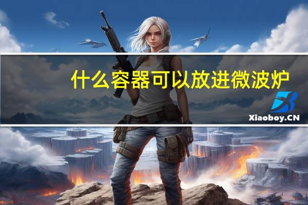 什么容器可以放进微波炉