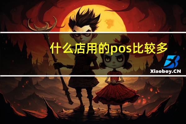 什么店用的pos比较多