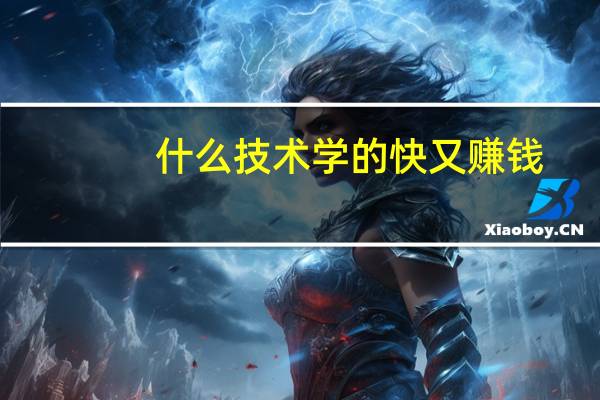 什么技术学的快又赚钱