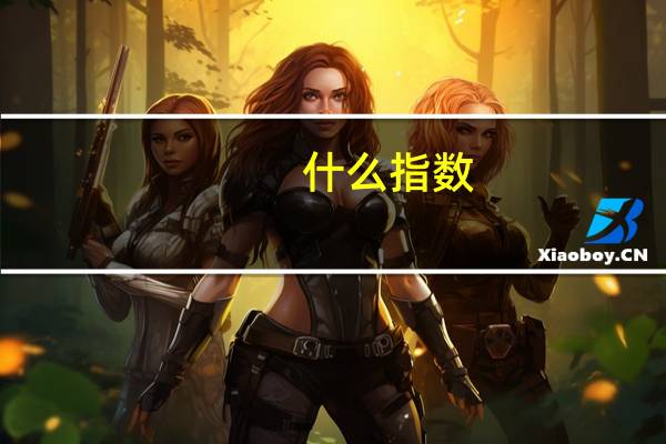 什么指数