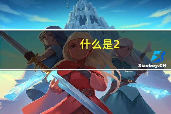 什么是2