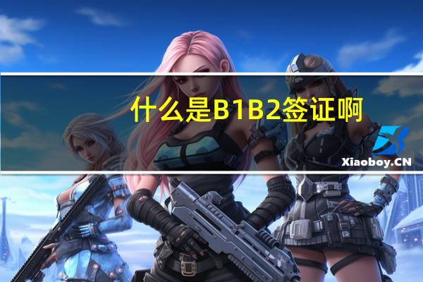 什么是B1B2签证啊